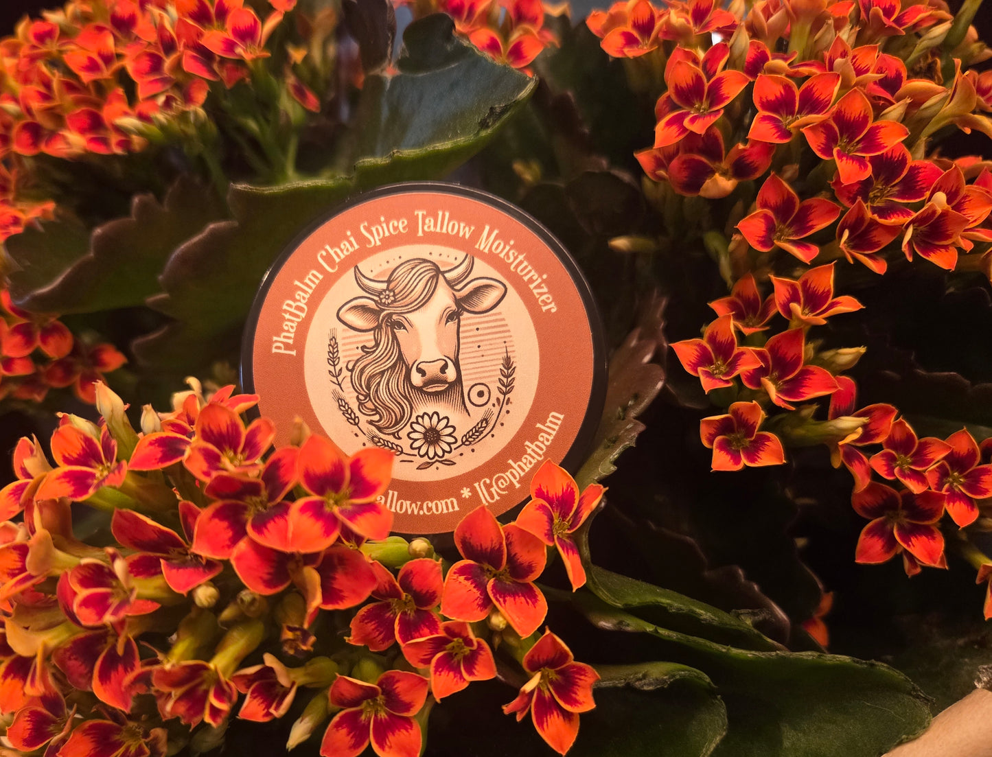 PhatBalm Whipped Chai Spice Tallow 2oz