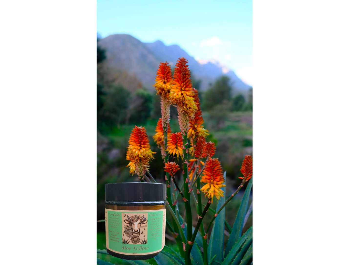 Aloe Tallow 4oz